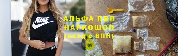 ГАЛЛЮЦИНОГЕННЫЕ ГРИБЫ Алзамай