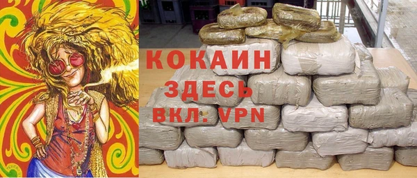 гидра Алексин