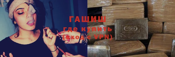 гидра Алексин