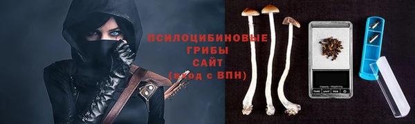 ГАЛЛЮЦИНОГЕННЫЕ ГРИБЫ Алзамай