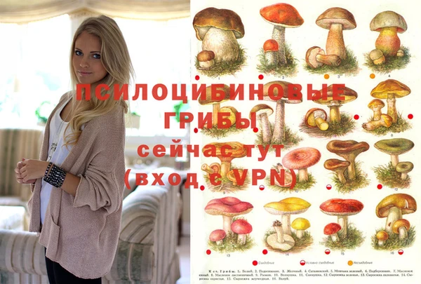 ГАЛЛЮЦИНОГЕННЫЕ ГРИБЫ Алзамай