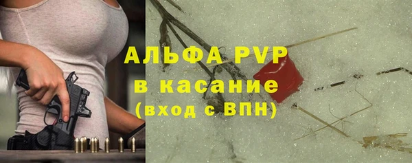 гидра Алексин